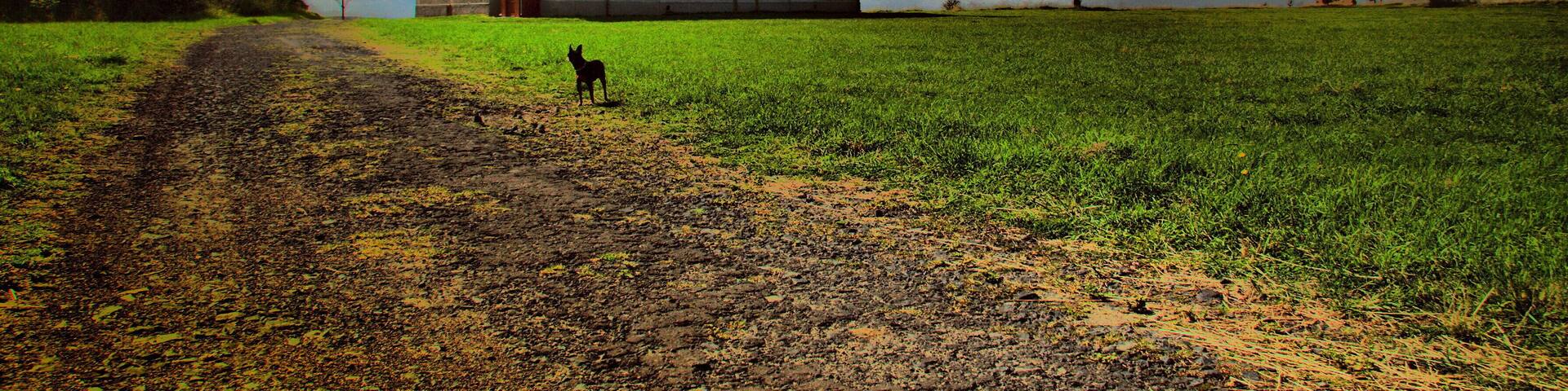 Church in Malý Háj