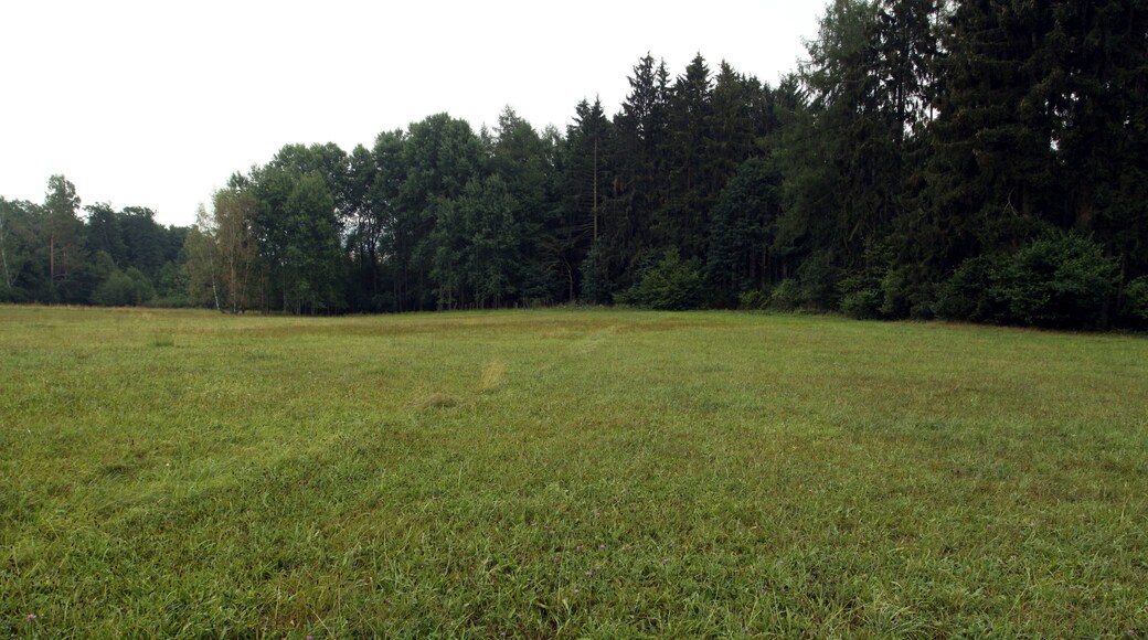 Natural monument Hvožďanská louka near Hvožďany village in Domažlice District, Czech Republic