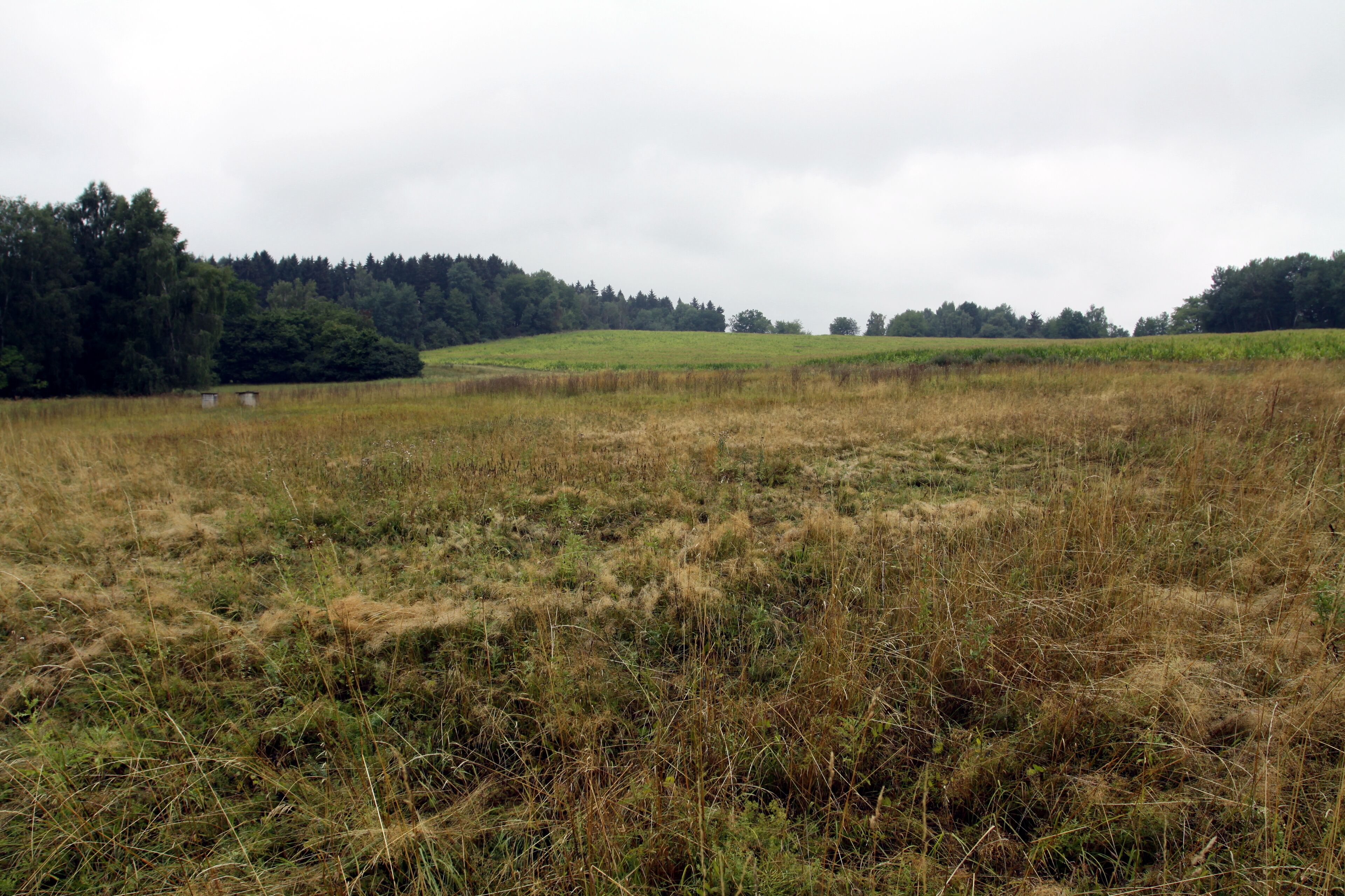 Natural monument Hvožďanská louka near Hvožďany village in Domažlice District, Czech Republic