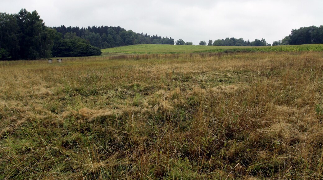Natural monument Hvožďanská louka near Hvožďany village in Domažlice District, Czech Republic