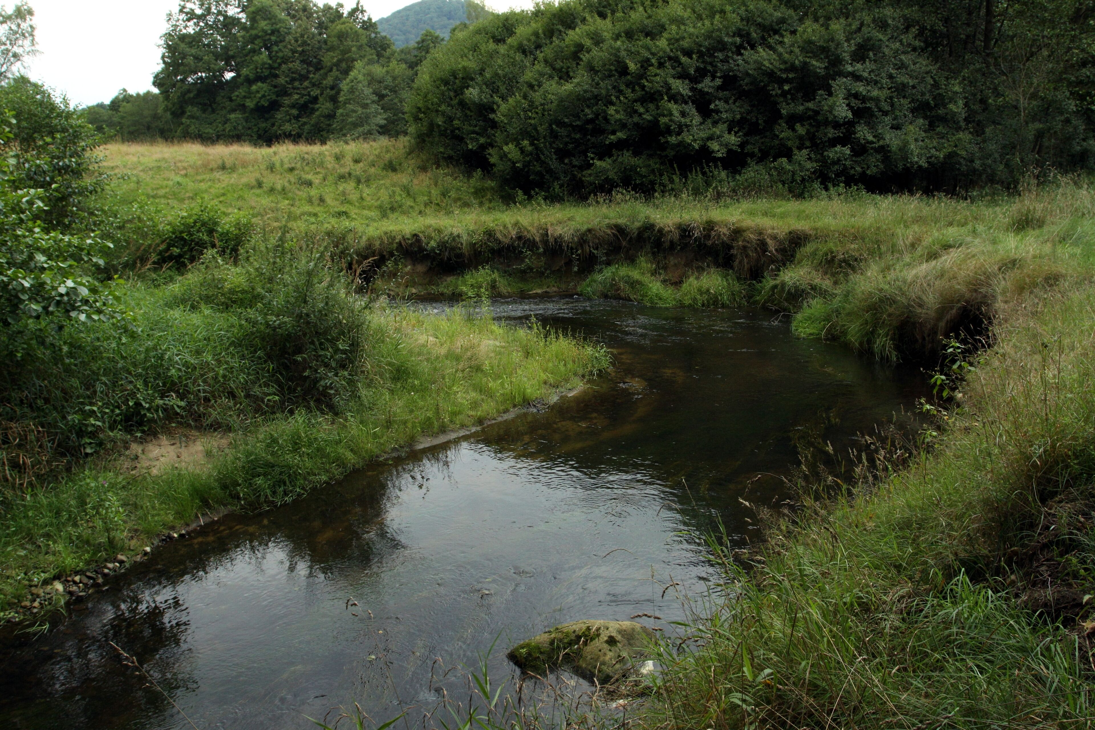 Natural monument Meandry Chřibské Kamenice near village Jetřichovice in Děčín District, Czech Republic