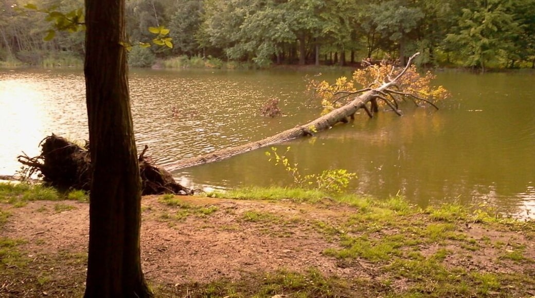 417 12 Proboštov, Czech Republic