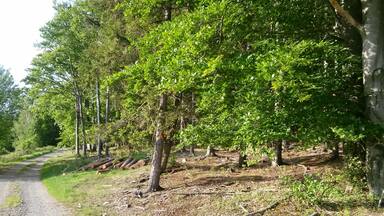 Pocinovice, Czech Republic