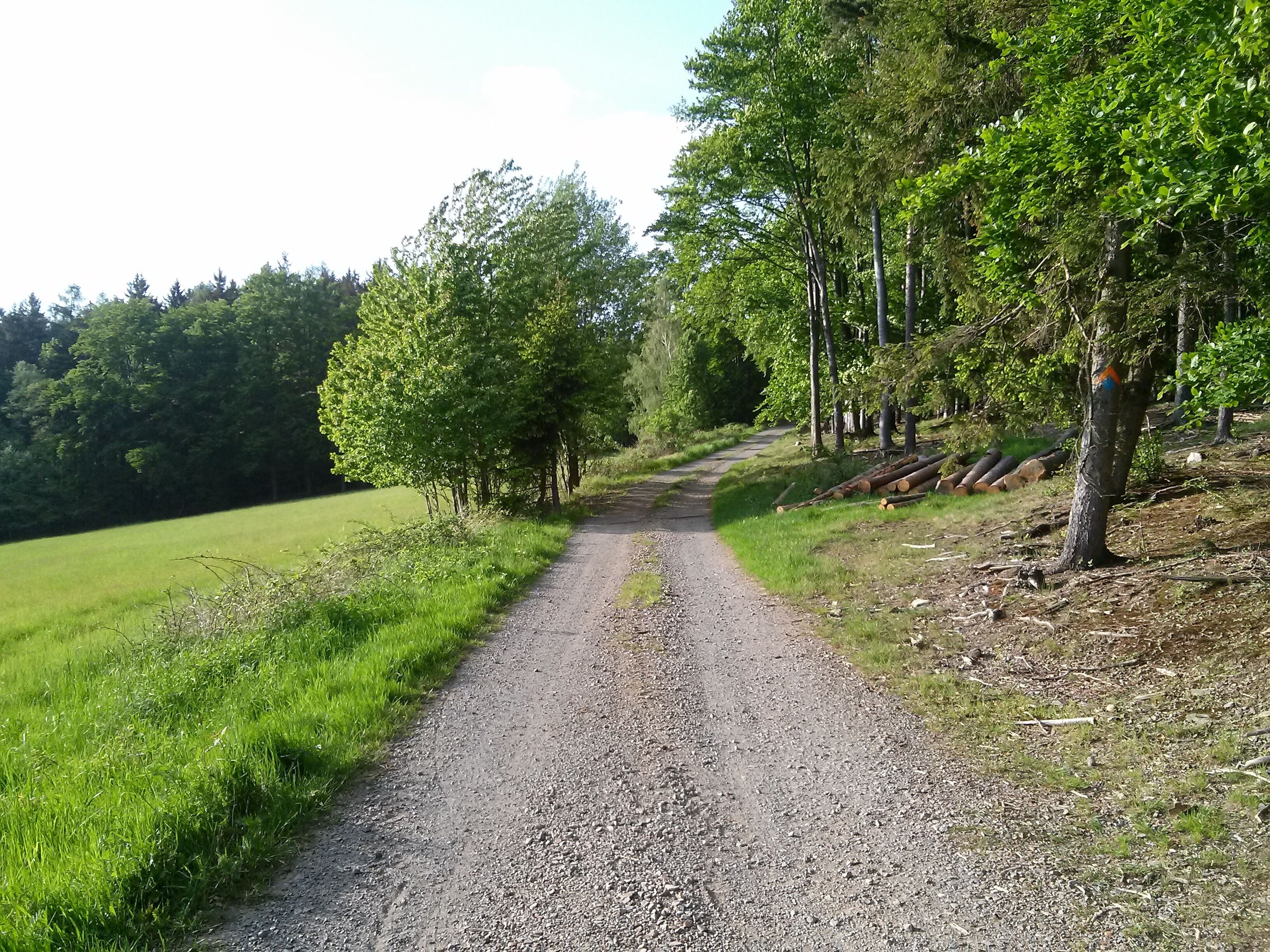 Pocinovice, Czech Republic