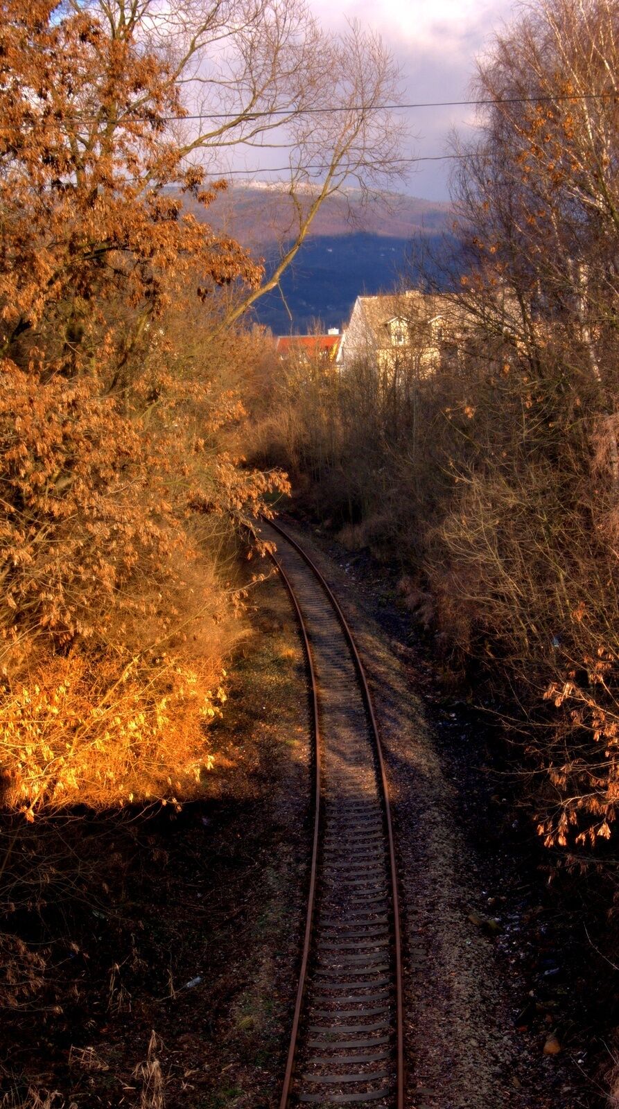 Na viaduktu bývalé tramvaje Dubí - Teplice