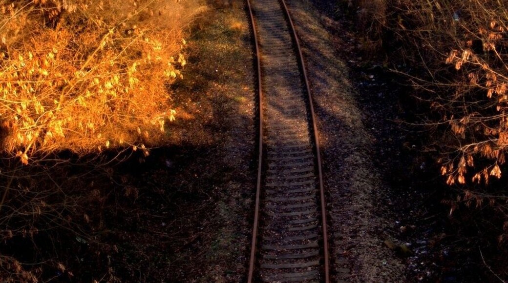 Na viaduktu bývalé tramvaje Dubí - Teplice