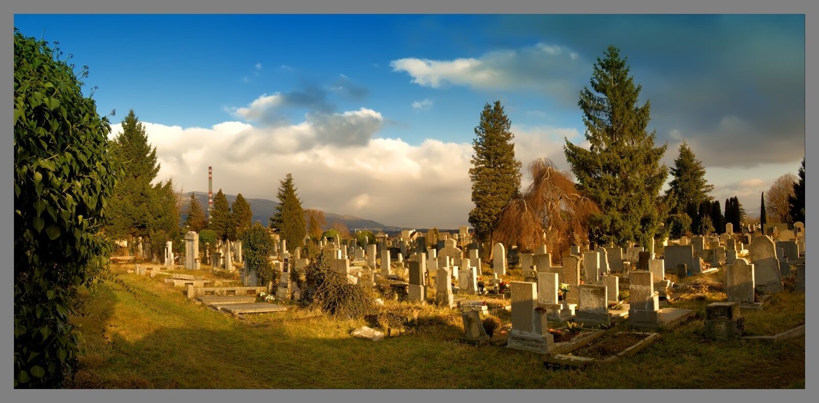 Hřbitov Novosedlice