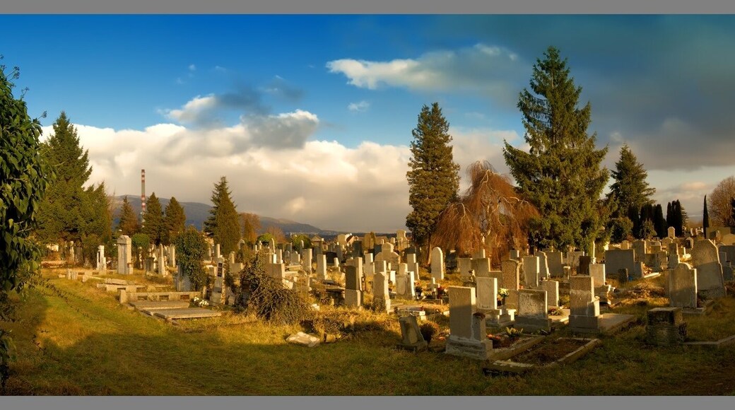 Hřbitov Novosedlice