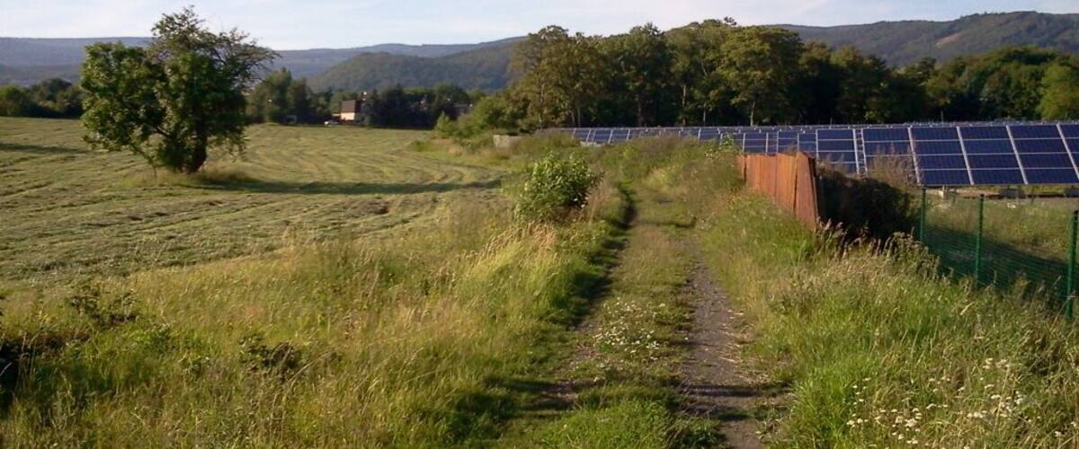 A rural landscape with a dirt path leading to solar panels.