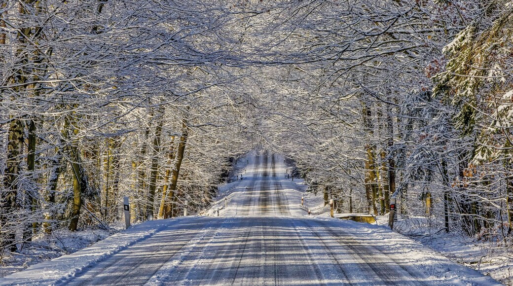 Driving around in this beautiful Country. Join my private Photo tour through Czechia. www.timvollmer.de