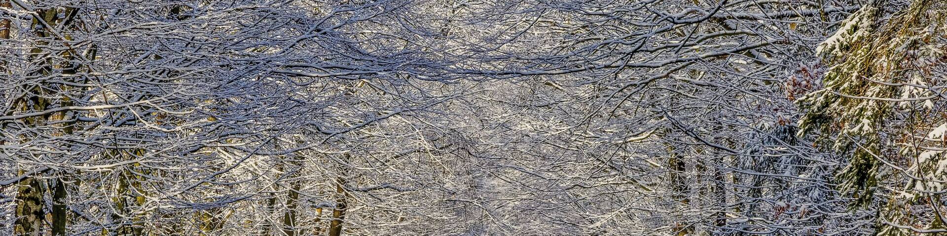 Driving around in this beautiful Country. Join my private Photo tour through Czechia. www.timvollmer.de