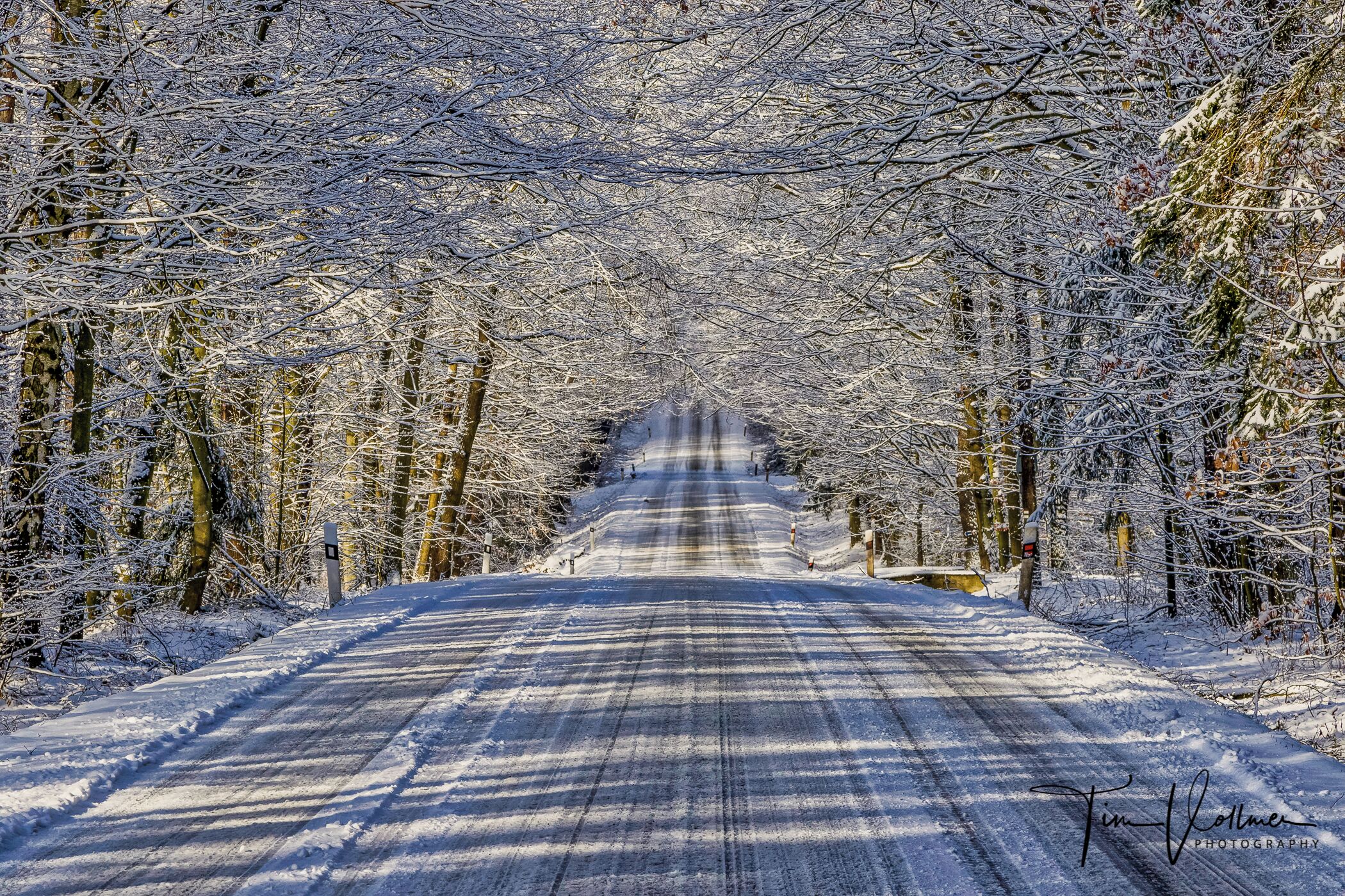 A snow-covered road flanked by trees in a winter landscape.