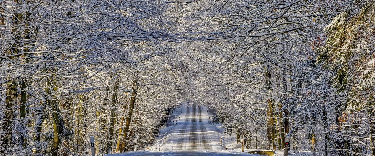 A snow-covered road flanked by trees in a winter landscape.