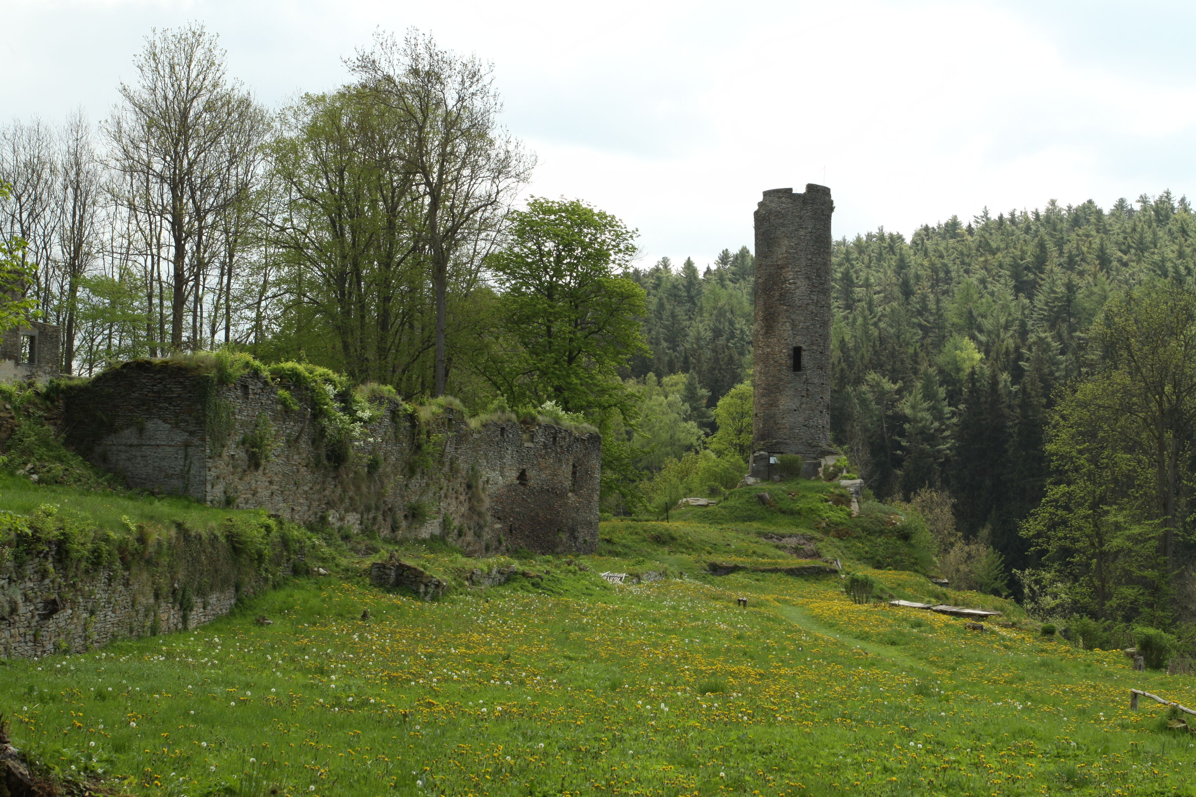 A historic stone tower amidst lush greenery and a meadow with wildflowers.