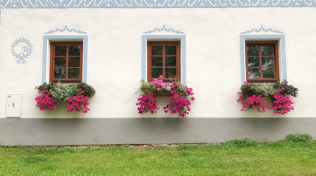 An interesting place for a quick visit- not ancient houses -built late 19th/ early 20th Century but an interesting style of local architecture and worth a detour