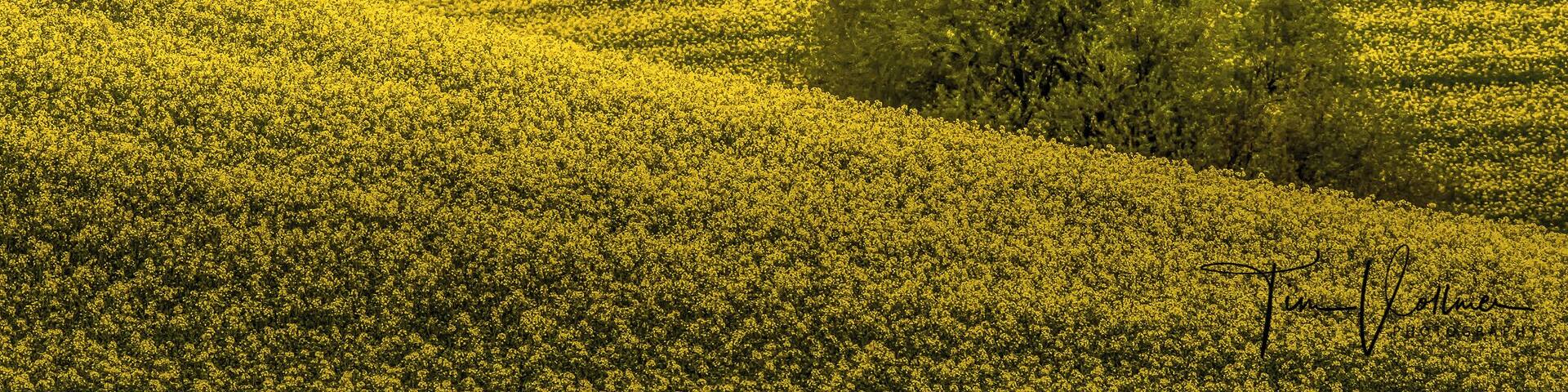 Driving around in this beautiful Country. Join my private Photo tour through Czechia. www.timvollmer.de