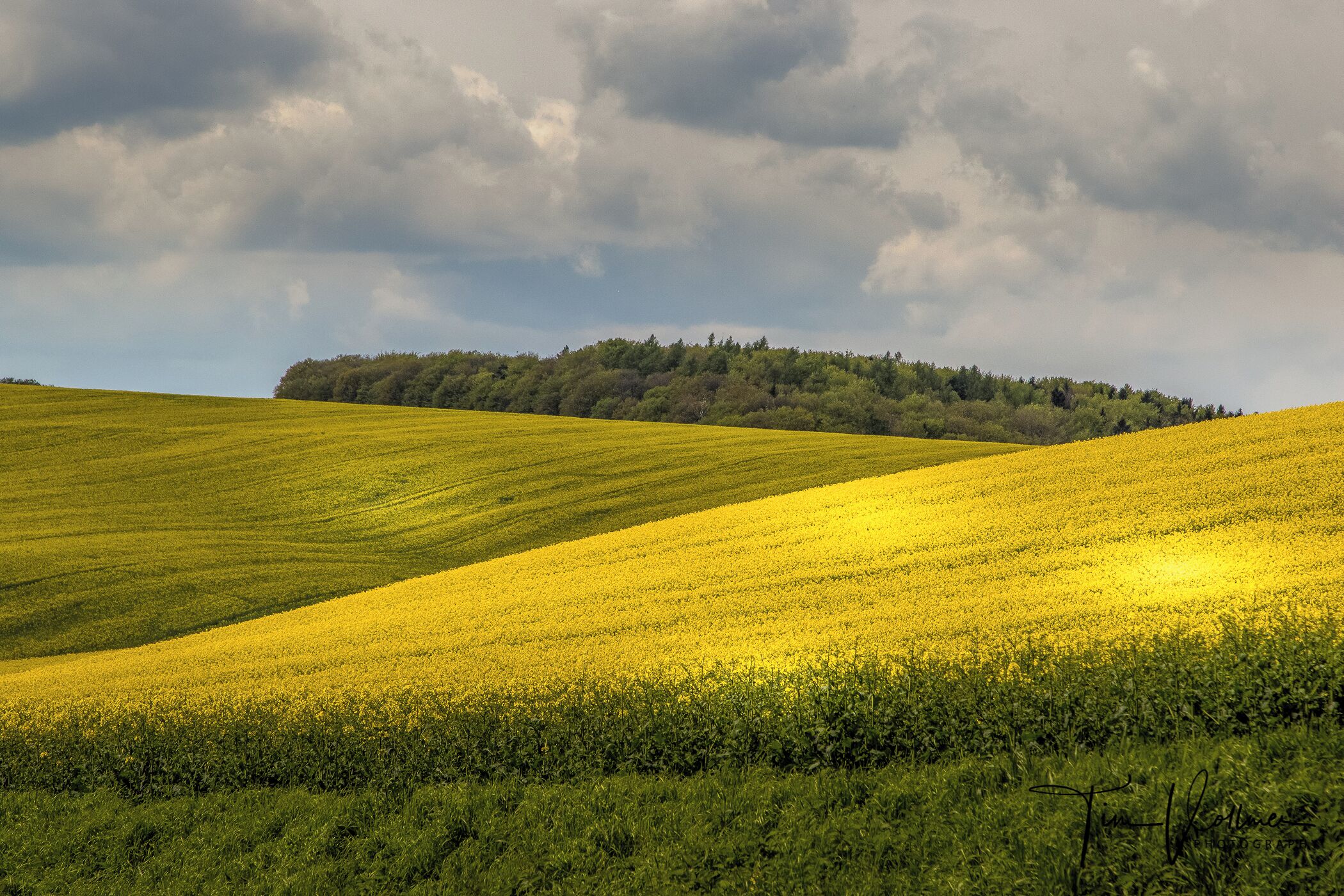 Driving around in this beautiful Country. Join my private Photo tour through Czechia. www.timvollmer.de
