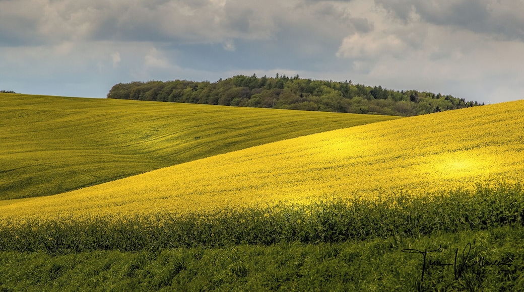 Driving around in this beautiful Country. Join my private Photo tour through Czechia. www.timvollmer.de
