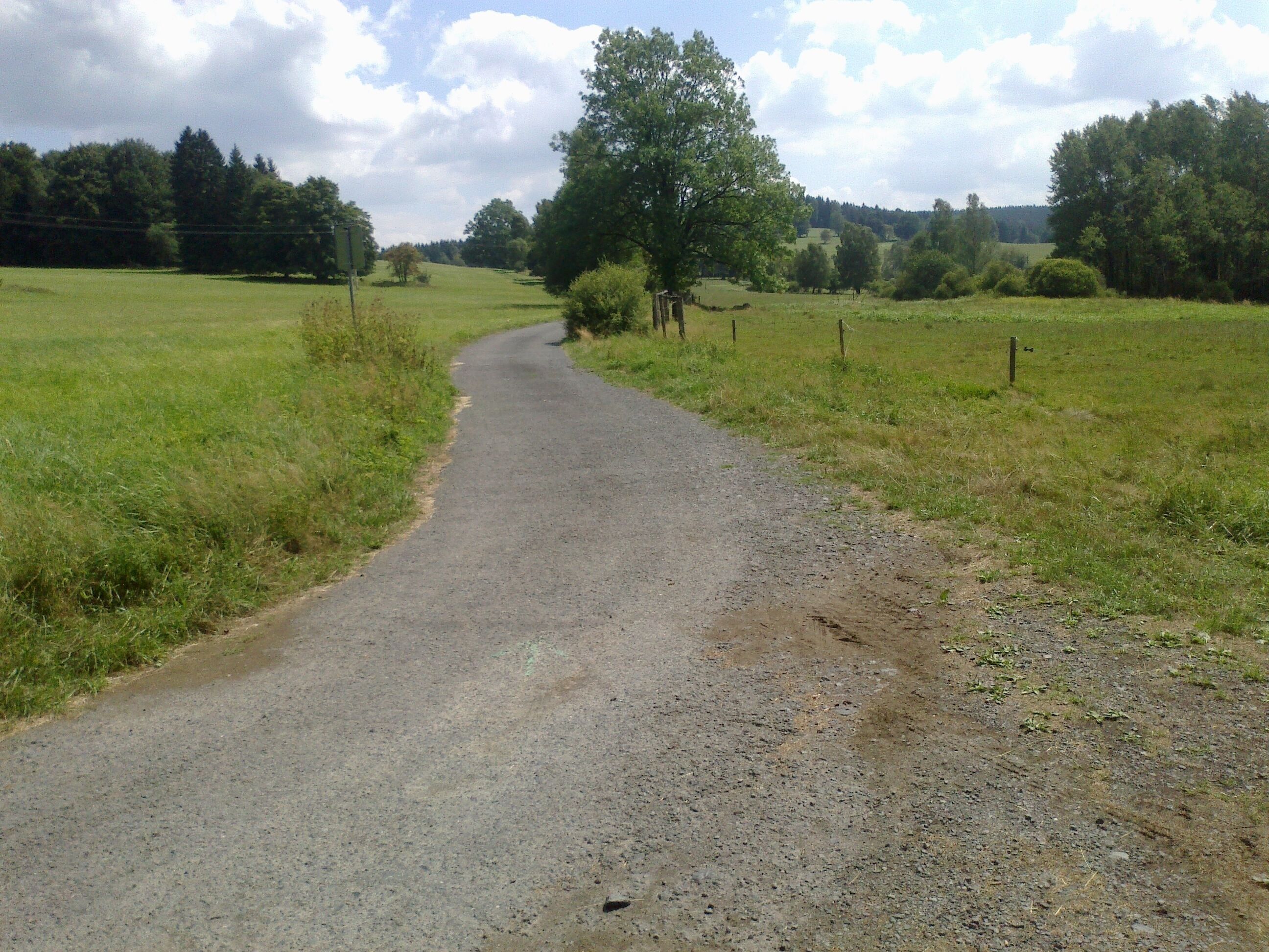 A rural road winding through a green field with trees and a fence on the right.