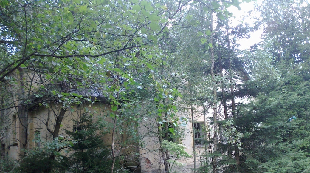 pohled na rotu z nádvoří