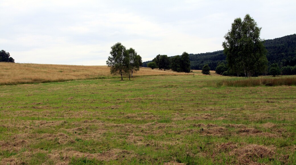 Nature reserve Niva Olšového potoka close to Petrovice village in Ústí nad Labem District, Czech Republic