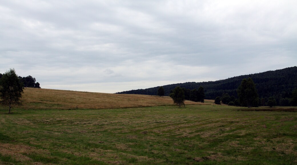 Nature reserve Niva Olšového potoka close to Petrovice village in Ústí nad Labem District, Czech Republic