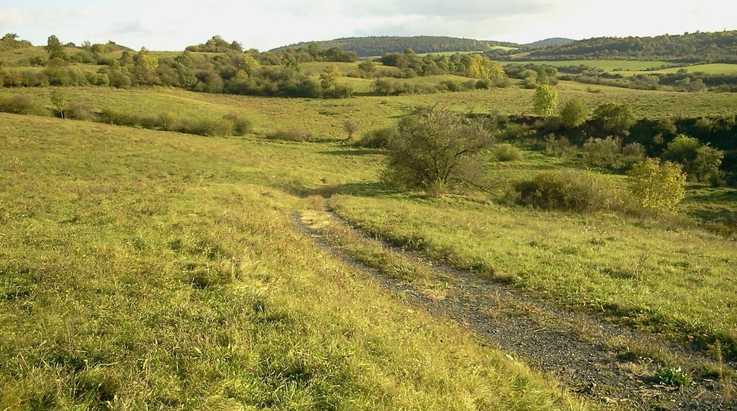 434 01 Želenice, Czech Republic