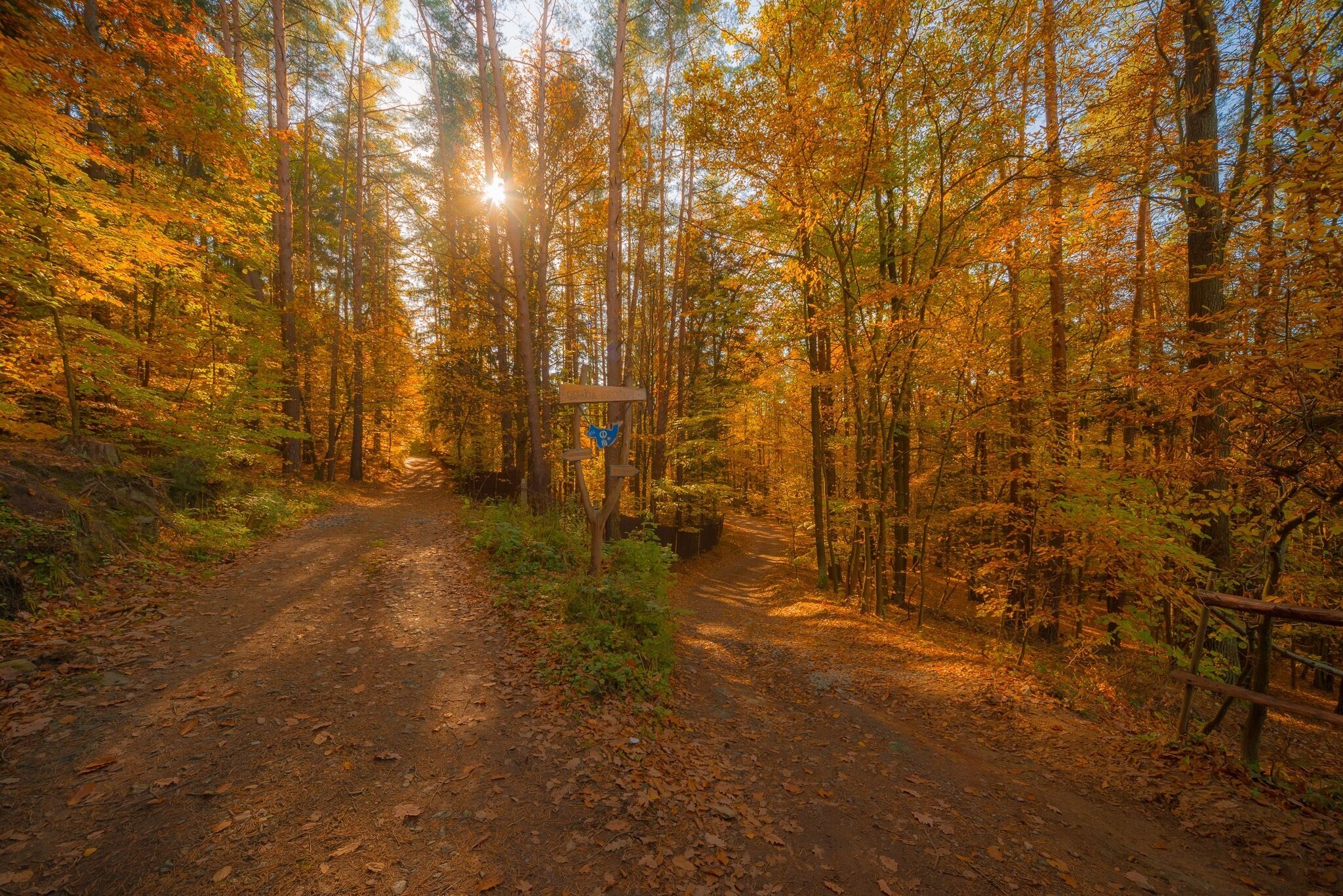 This 8,5 km along river Vltava claims to be the oldest marked trail in the Czech Republic.

It is definitely worth visiting any time of the year but now (in the autumn), you can also find many mushrooms there and see rare animals, salamandra salamandra. It is an easy trail, not many ups and downs but you can make it longer. "Svatojánské proudy" got its name from St. Jan, whose statue is in the end of the trail, and "proudy" refers to wild rapids that used to be there until 1938.

Tourist map is here: http://mapy.cz/s/de2E - it is the yellow and green trail from Štěchovice to Třebenice. 
You can get easily to Štěchovice from Prague, it is 37 minutes from Smíchovské nádraží by bus no. 338, 390, 361 (in these buses, you have to pay at the driver - no matter if you have or don't have Opencard). Be in time at the station as these buses are usually quite full. 

Marked trail starts directly at the bus station in Štěchovice however you can first start with breakfast in one of the cafés there. First follow blue mark but later you will follow the special white and green square sign. You will go across local water power plant, continue along the river with some beautiful views and finish the river part of the trail at Slapy dam. Along the way, there are some educational boards - unfortunately in Czech only - but there are some interesting old photos how the place looked like before people completely changed river Vltava with a system of river dams. 

Also you can notice dozens of not easily accessible wooden little cottages. They are part of "tramps' settlements" (the oldest one being established here, at Svatojánské proudy) and often bear USA-inspired names. 

When you reach Třebenice, take bus no. 390 back to Prague or hike back to Štěchovice (it is more up the hill) following blue marked trail (or blue and later red). Nothing special there to see but it is a nice app. 5 km long walk:) If you feel up to a really long hike, follow blue trail from Třebenice further to the south across river until you reach yellow trail and you can see some famous Vltava views.

#Forest #countryside #trees #light #autumn #hikingtheglobe #wonderlust #red #golden #czechrepublic