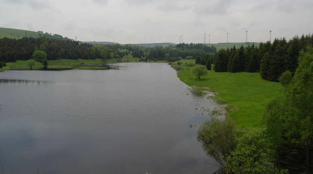 Jižní cíp vodní nádrže Přísečnice, vpravo v pozadí farma větrných elektráren Kryštofovy Hamry