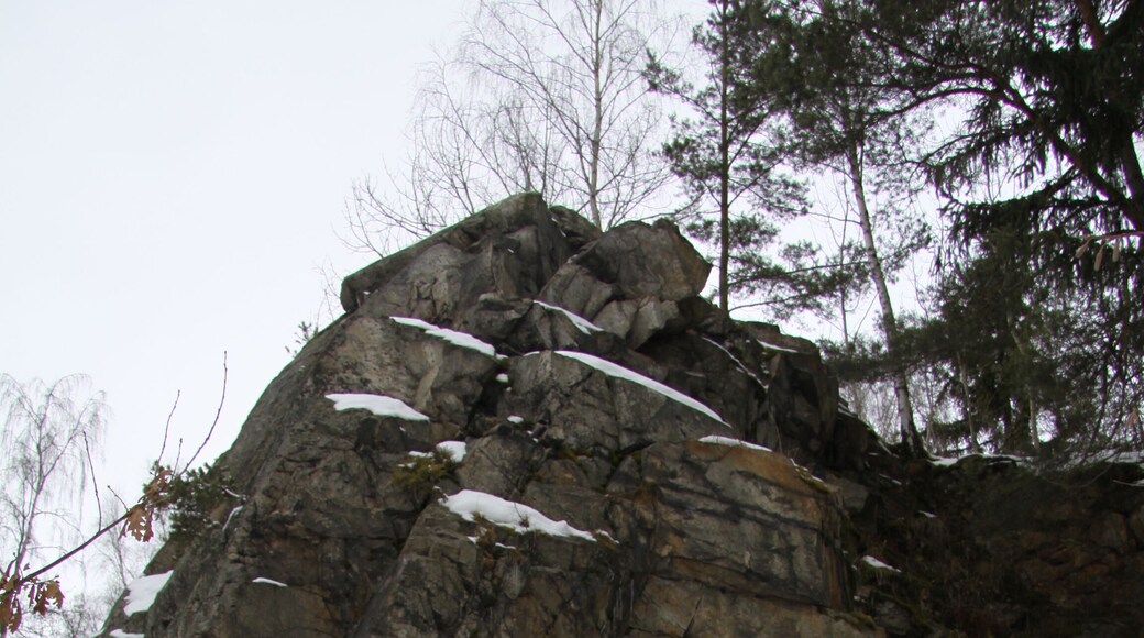 Natural monument Skalka in Prachatice District where tourmaline's "suns" are in granite, Czech Republic