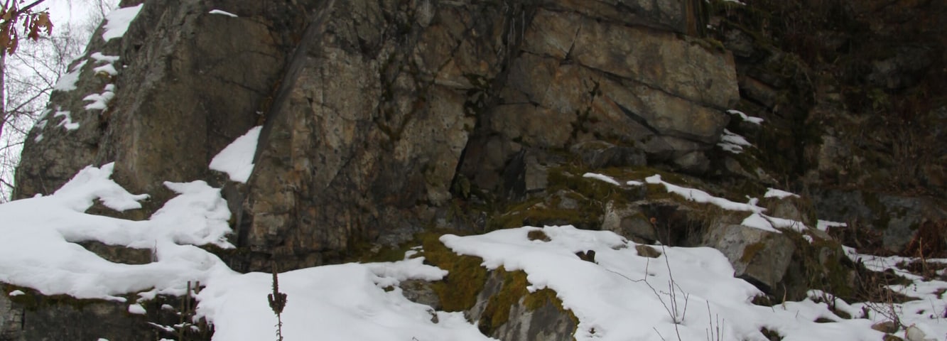 Natural monument Skalka in Prachatice District where tourmaline's "suns" are in granite, Czech Republic