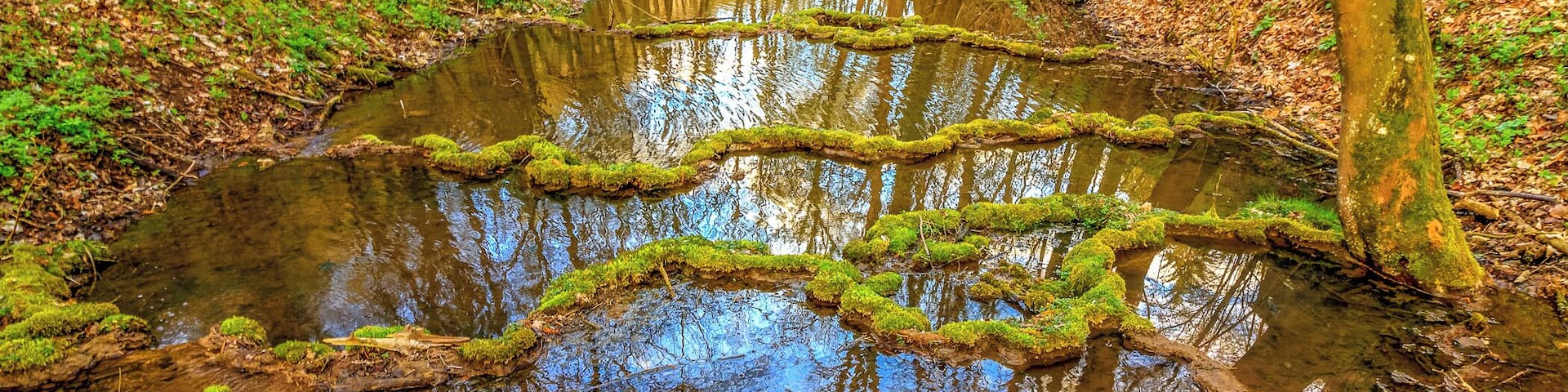 Driving around in this beautiful Country. Join my private Photo tour through Czechia. www.timvollmer.de