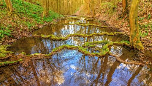 Driving around in this beautiful Country. Join my private Photo tour through Czechia. www.timvollmer.de