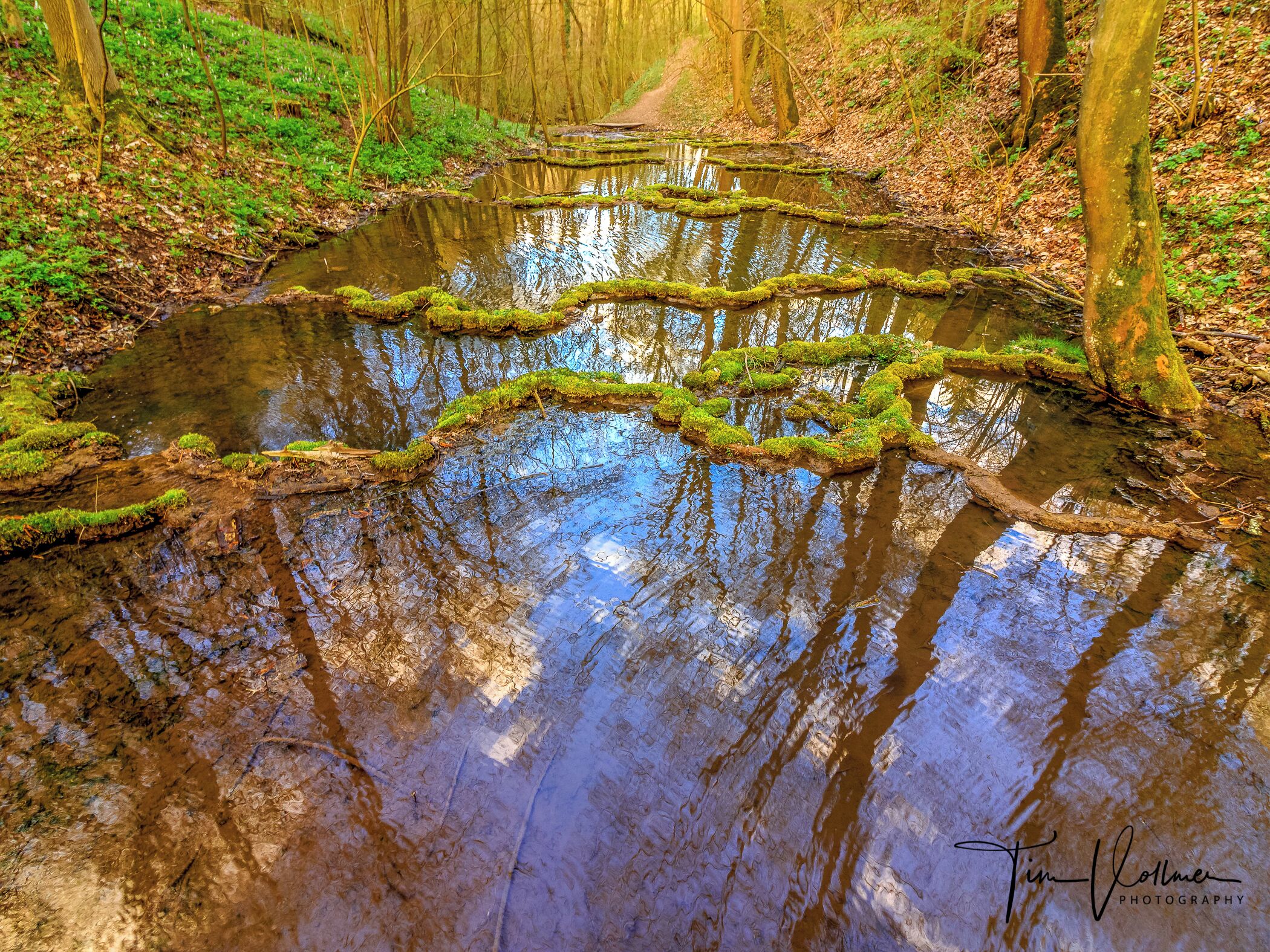 A forest stream with moss-covered rocks and trees reflecting in the water.