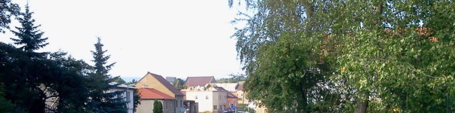 A quiet residential street with houses, a sidewalk, and trees.