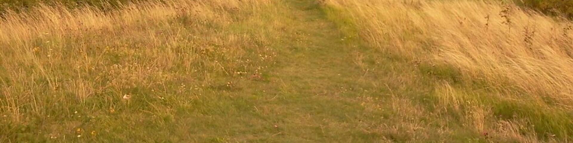 Cesta z letiště Teplice