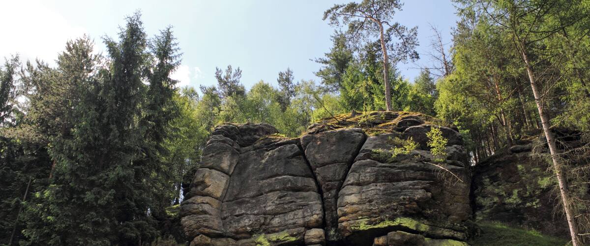 A large rock formation surrounded by dense forest.