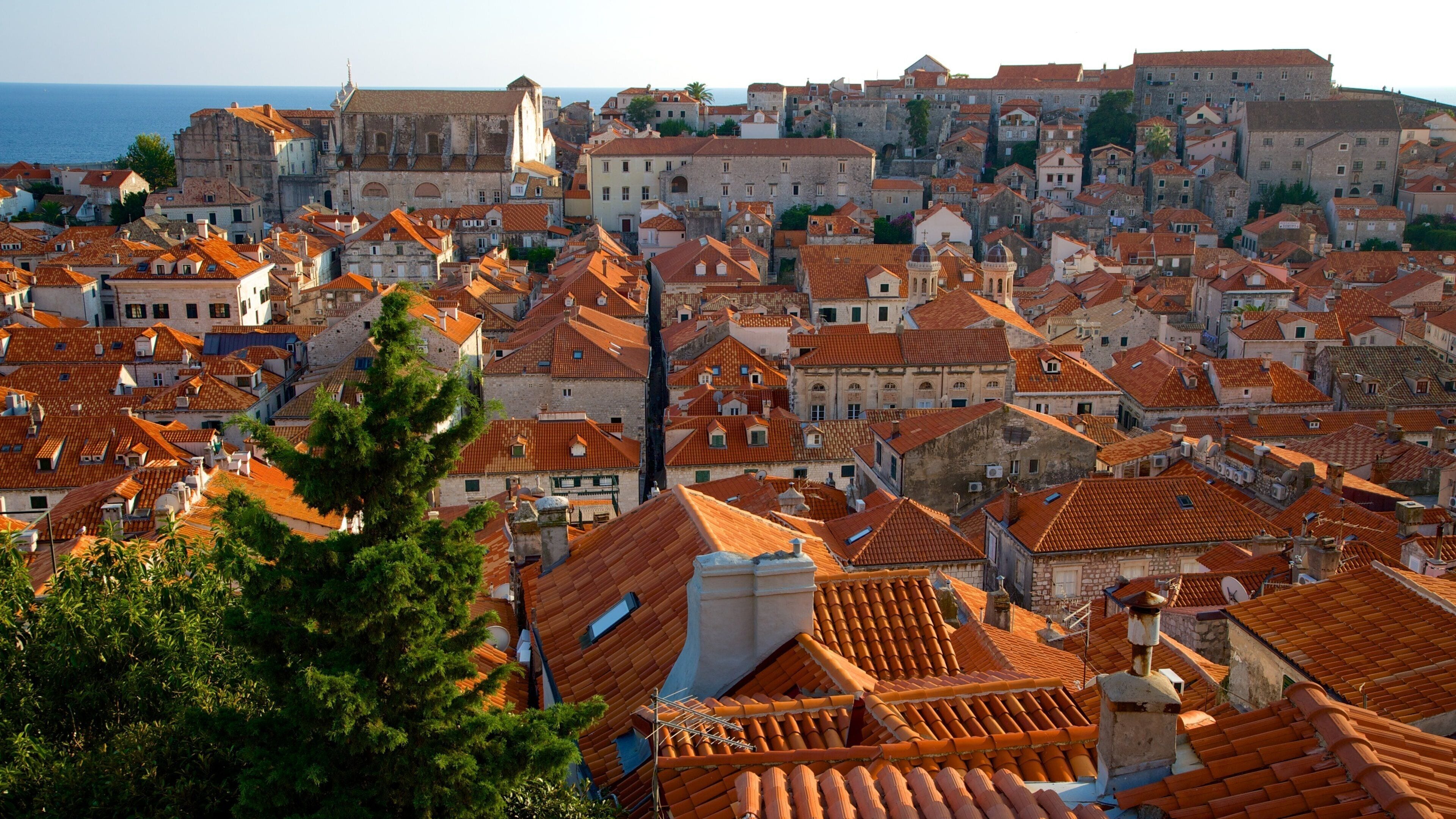 Dubrovnik showing a city