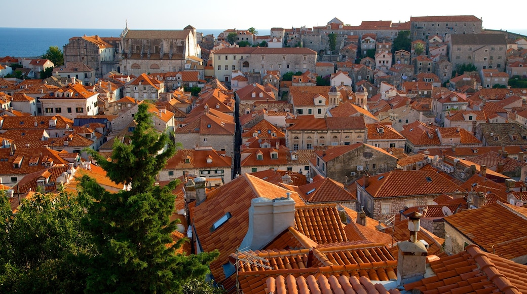 Dubrovnik showing a city