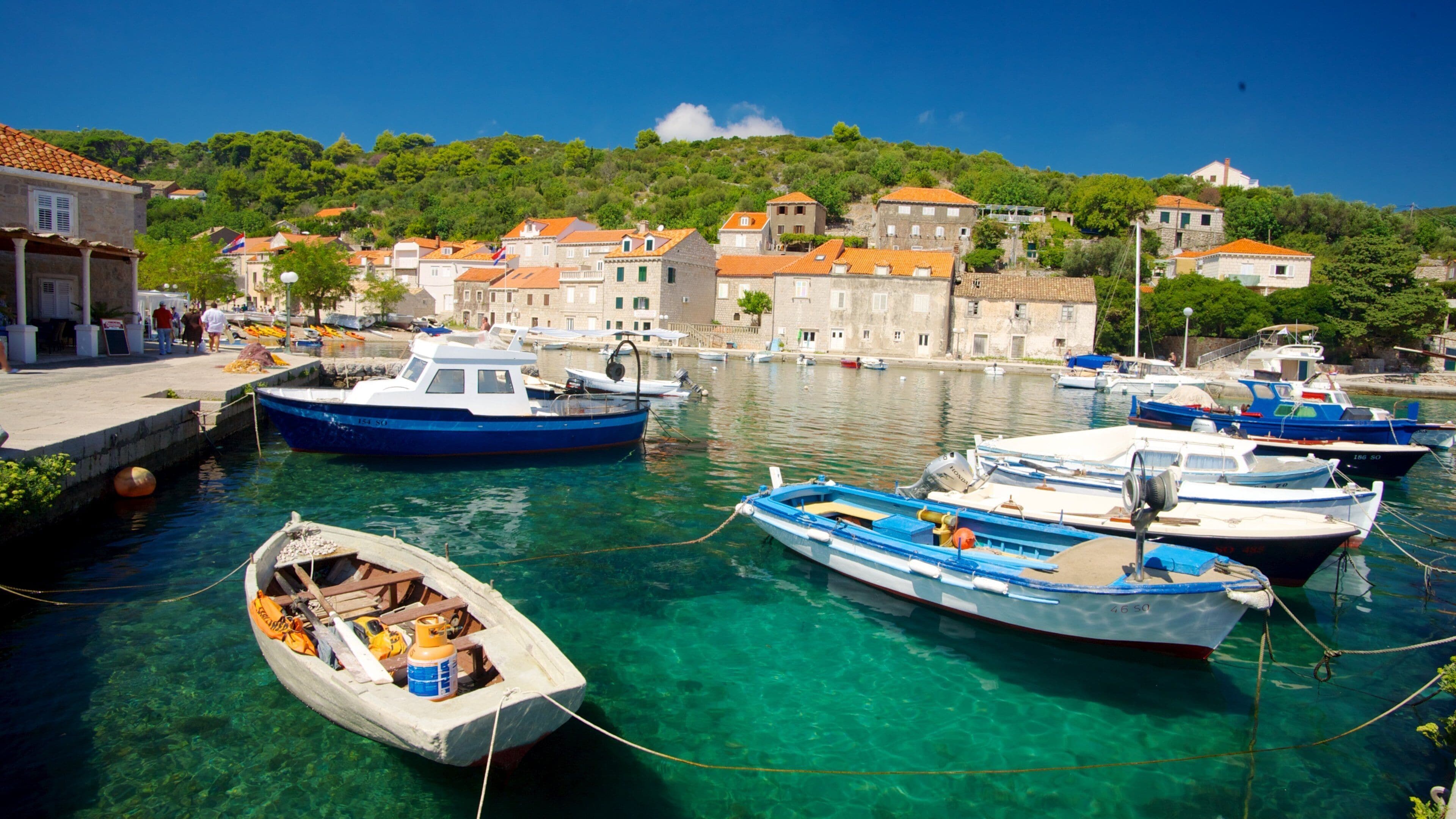 Dubrovnik - Southern Dalmatia featuring a coastal town, a bay or harbor and boating