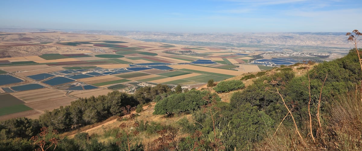 Blossoming valley in the Isreel Valley