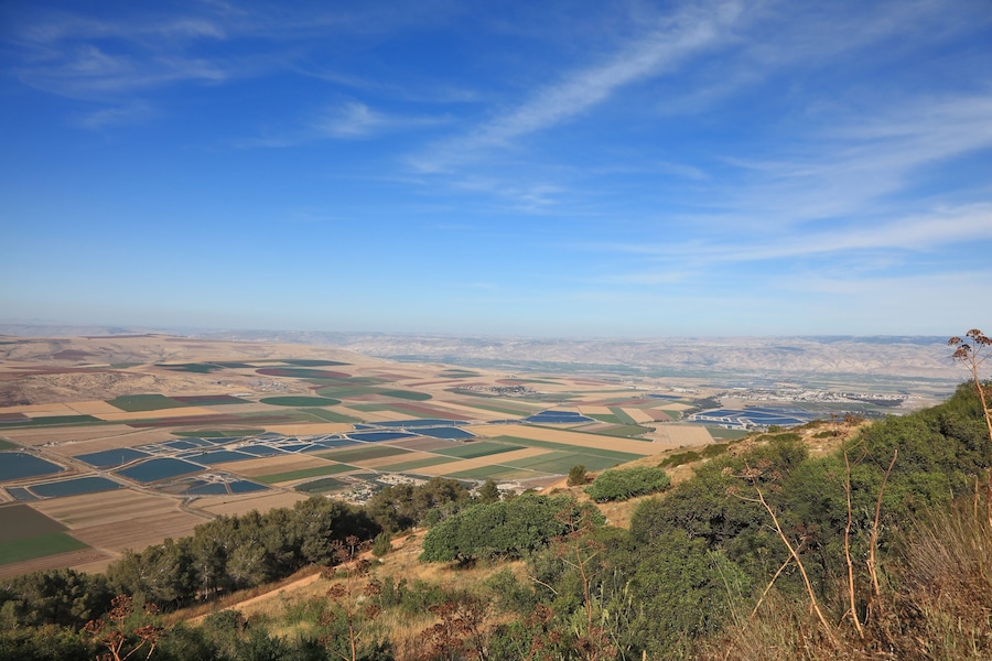 Blossoming valley in the Isreel Valley