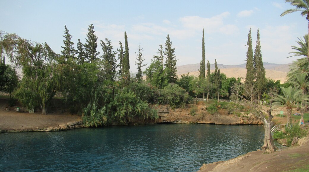 Consiglio Regionale di Gilboa