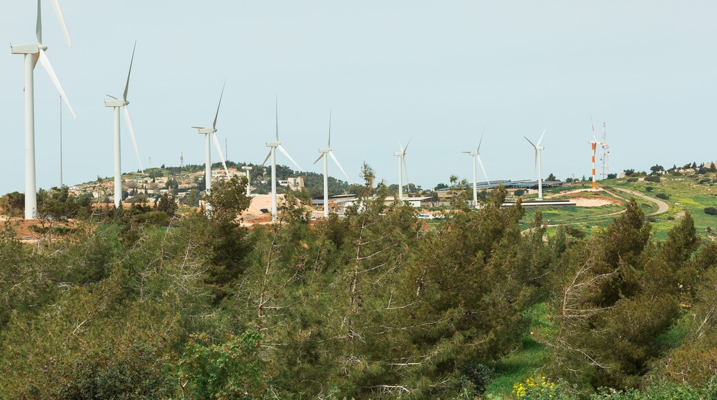 Consiglio Regionale di Gilboa