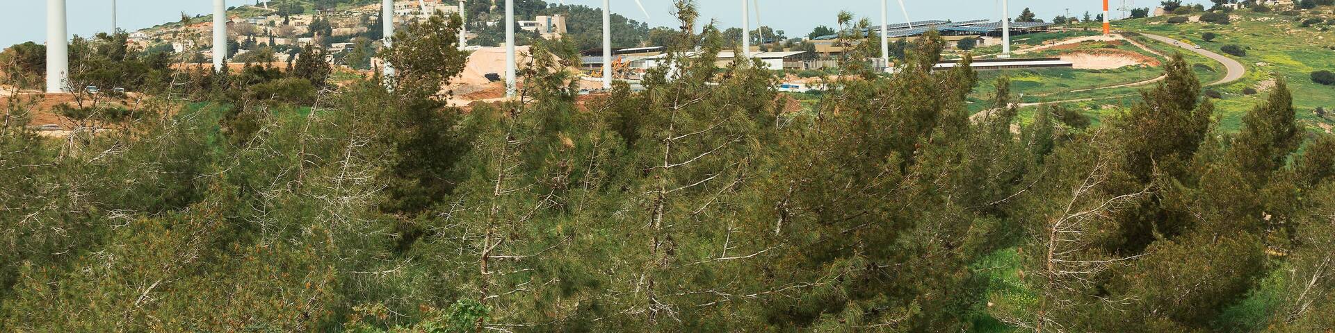 Wind generators on Mount Gilboa