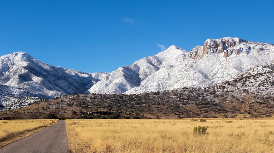 A Panorama of the Snowy Huachuca Mountains