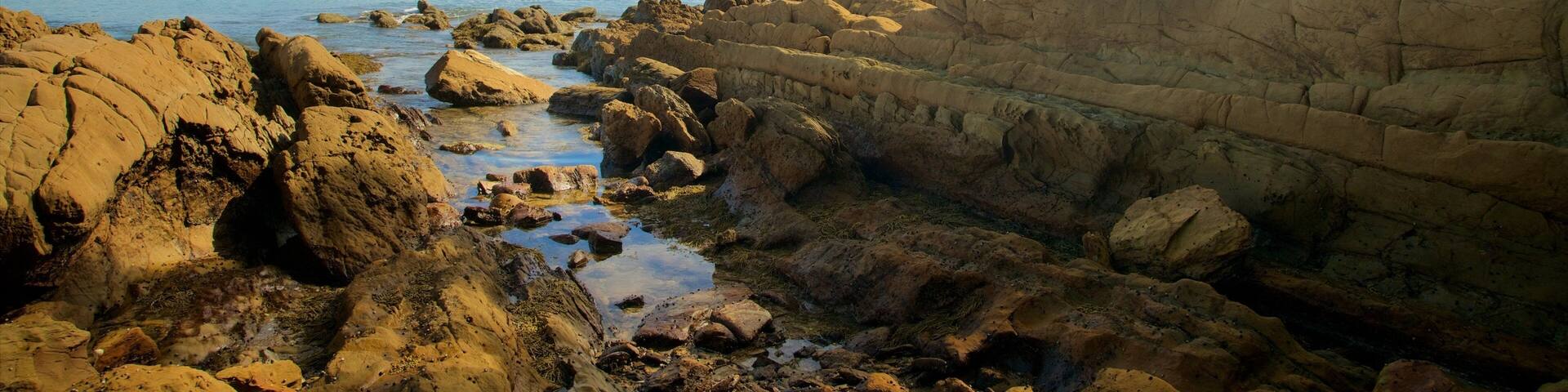 Batemans Bay which includes a bay or harbor and rugged coastline
