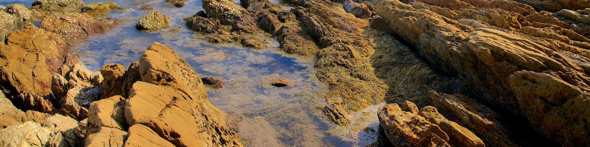 Un rivage rocheux bordé d’une eau claire, avec des collines qui se dessinent à l’horizon.