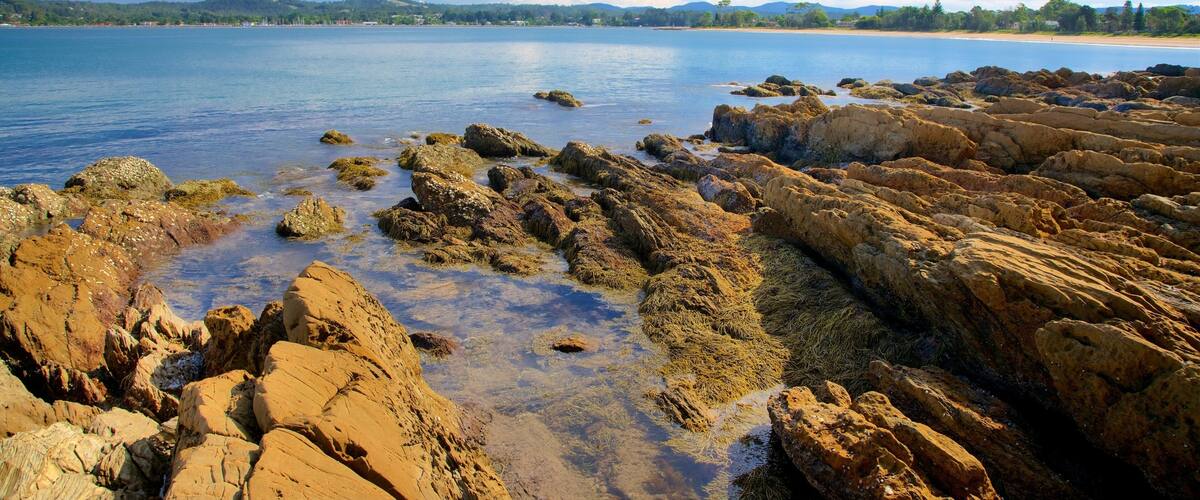 Batemans Bay ofreciendo una bahía o un puerto y costa rocosa