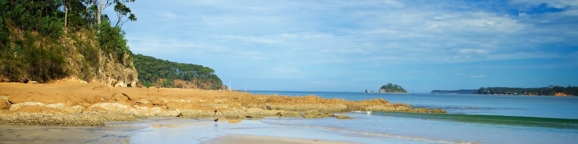 Surfside Beach showing general coastal views